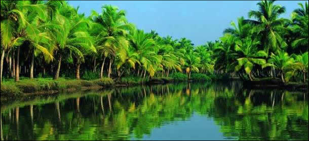 alappuzha backwater