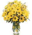 The FTD Sunburst� Bouquet